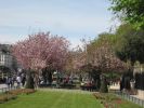 PICTURES/Paris - Notre Dame Cathedral/t_South Garden1.jpg